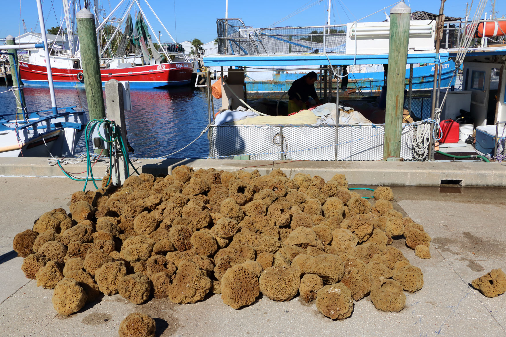 TarponSponges.jpg